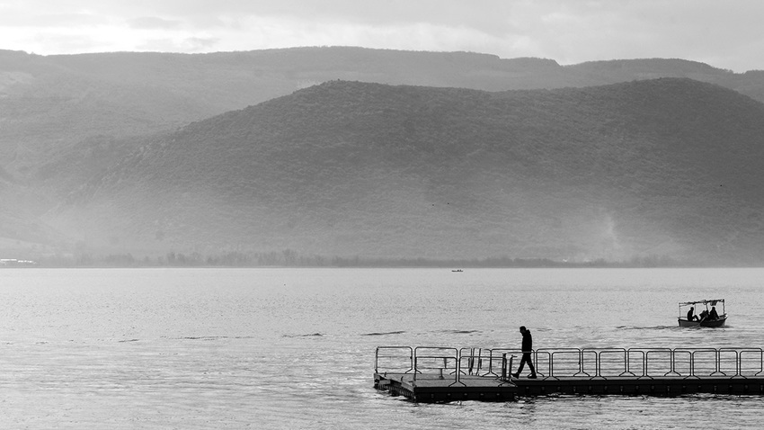 «Lines & Living Beings» | Ατομική Έκθεση Henri Kandiyoti