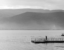 «Lines & Living Beings» | Ατομική Έκθεση Henri Kandiyoti