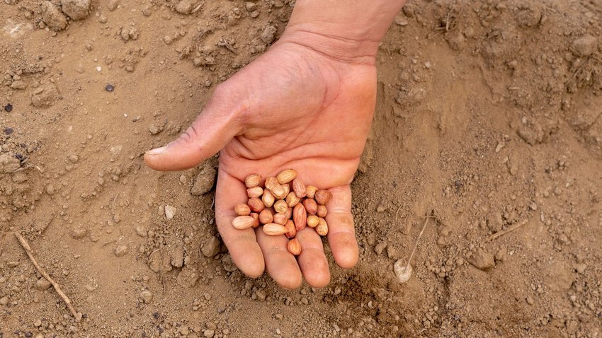 Η έκθεση "Soil Horizon"/"Εδαφικός Ορίζοντας" στη Σίφνο εξετάζει τη σχέση τοπίου και τροφής