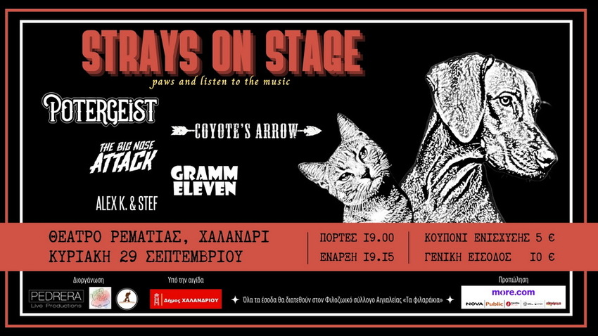 Strays on Stage | Συναυλία Ενίσχυσης Φιλοζωικού Συλλόγου Αιγιαλείας