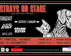 Strays on Stage | Συναυλία Ενίσχυσης Φιλοζωικού Συλλόγου Αιγιαλείας