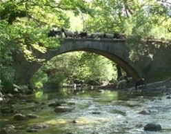 Υγρότοποι, Πολιτιστική Κληρονομιά και Εθνογραφικό Φιλμ