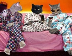 Pyjama Party