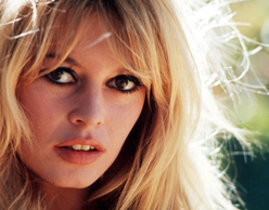 ​Bardot La Méprise