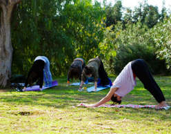 Ανοιχτό μάθημα Yoga στον Εθνικό Κήπο