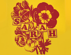 My Secret World - A Sarah Records party!