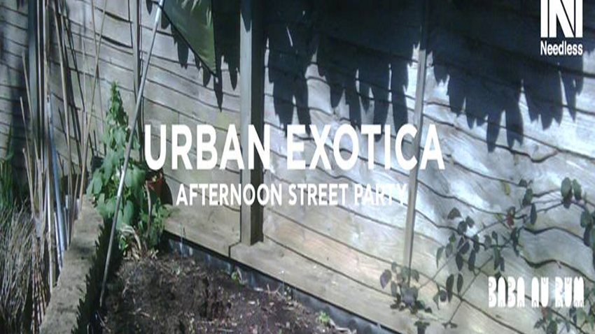 Urban Exotica: an afternoon street party