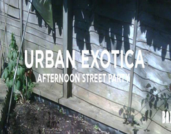 Urban Exotica: an afternoon street party