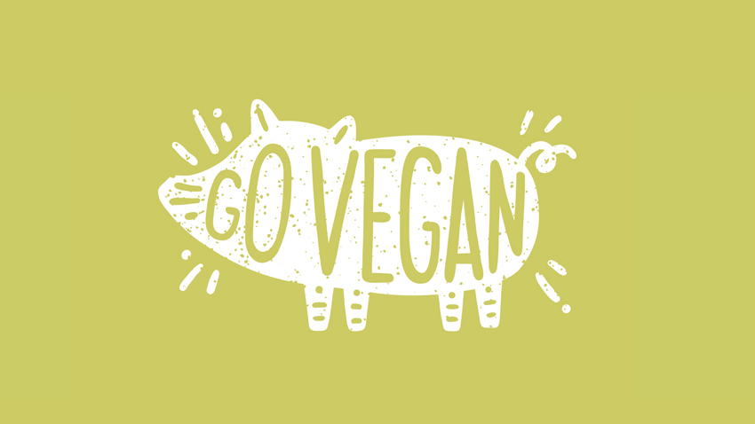 Vegan Life Festival 2016