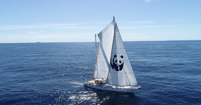 WWF: Το σκάφος WWF “Blue Panda” φτάνει στο Ιόνιο!